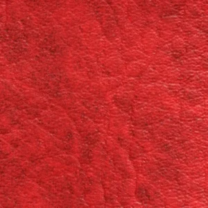 Kunstnahk K1 207X1271
