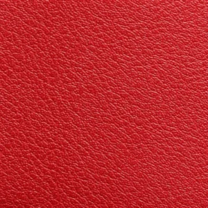 Kunstnahk K1 207X3106