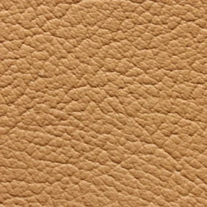 Kunstnahk K1 218X3387