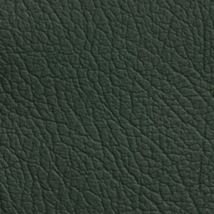 Parigi K2 6695 VERDE PARIGI